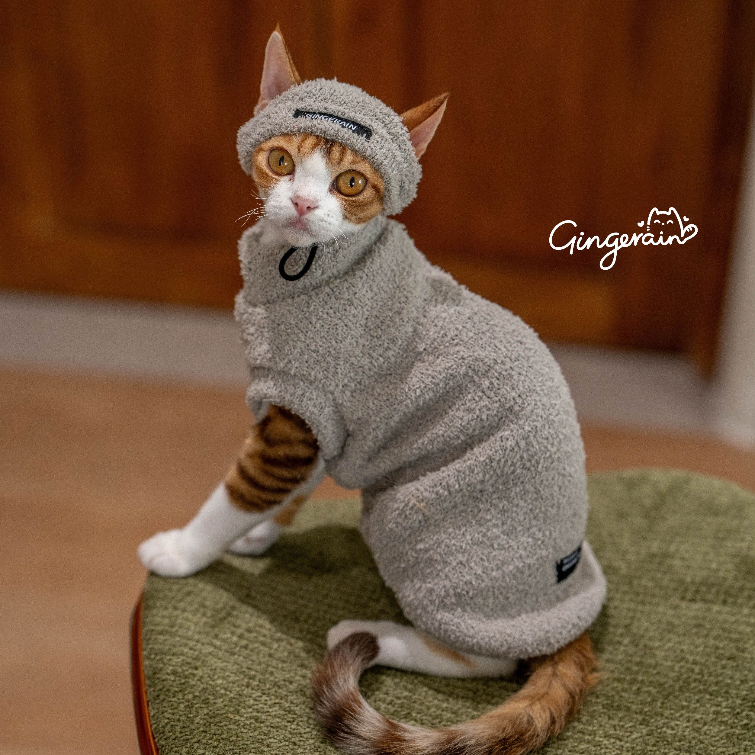 GINGERAIN  泰迪保暖帽子德文猫衣服无毛猫简约套装保暖卫衣,淘宝优惠券,粉丝福利购,淘宝优惠卷