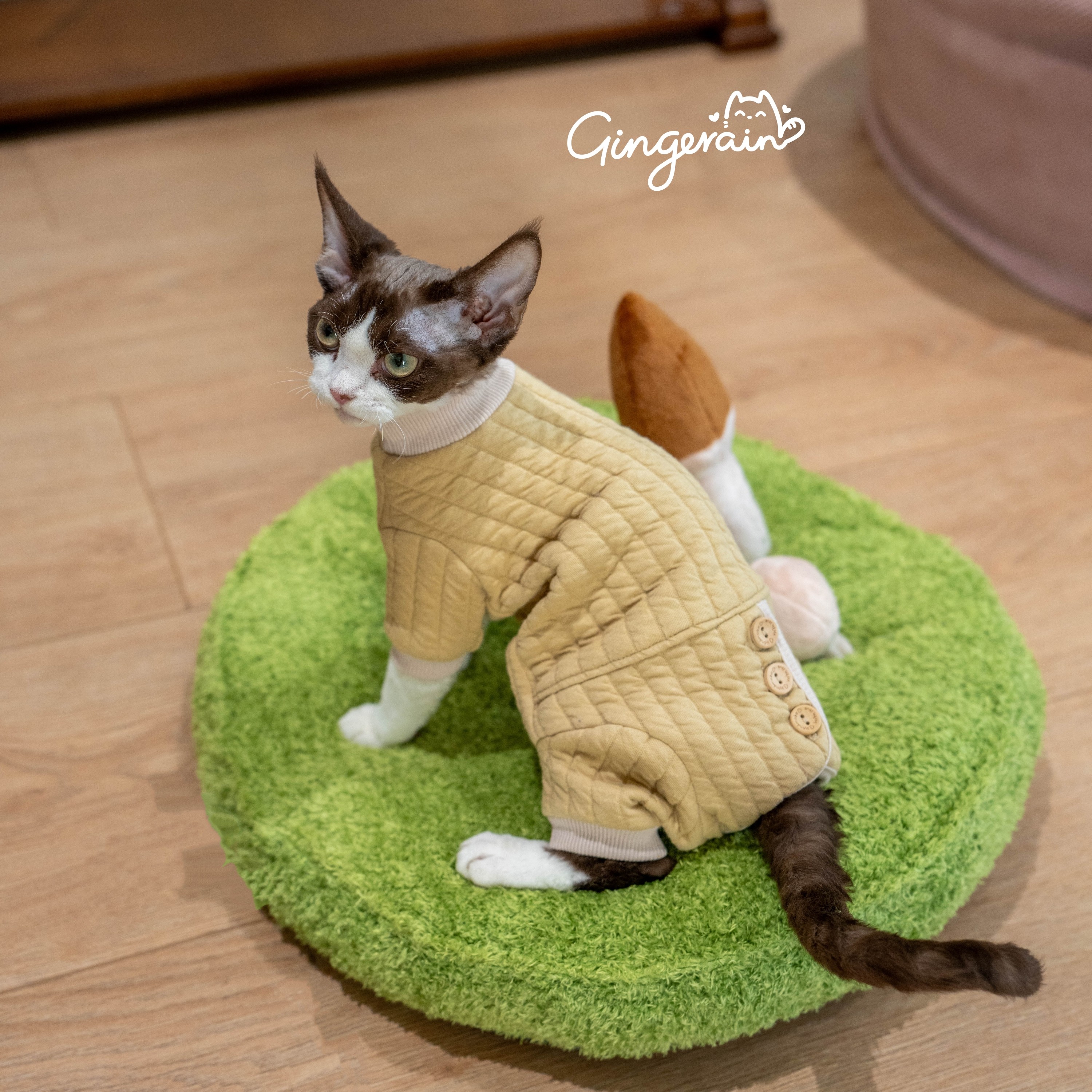 GINGERAIN 夹棉保暖卫衣实用德文猫衣服无毛猫包肚四腿外出服,淘宝优惠券,粉丝福利购,淘宝优惠卷