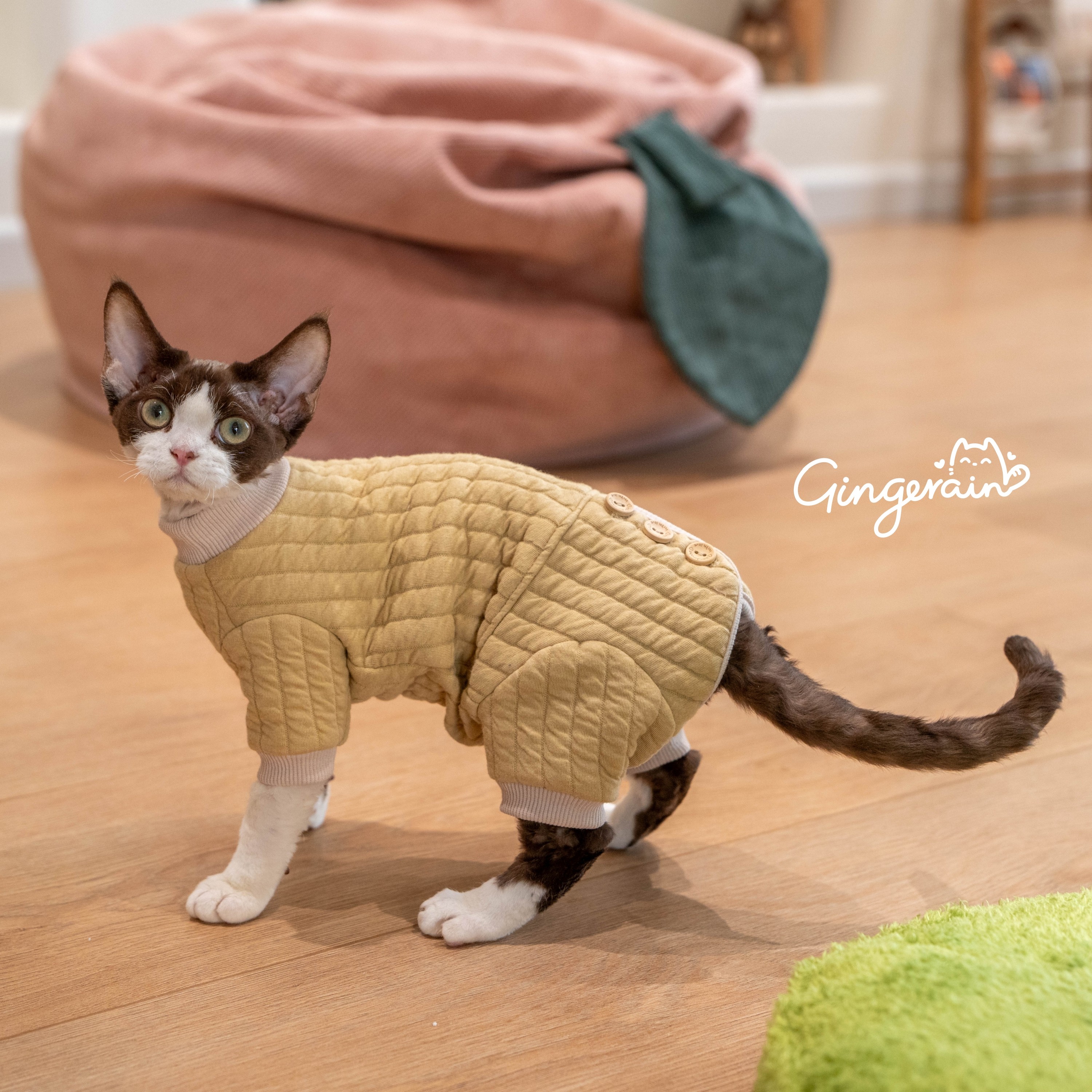 GINGERAIN 夹棉保暖卫衣实用德文猫衣服无毛猫包肚四腿外出服,淘宝优惠券,粉丝福利购,淘宝优惠卷
