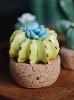 可爱风仙人掌仿真多肉植物装饰品