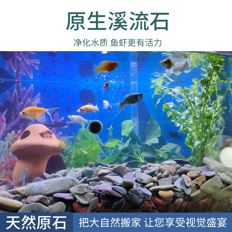 精洗原生态溪流石鱼缸造景古法养鱼专用底砂装饰水族专用滤材-图2