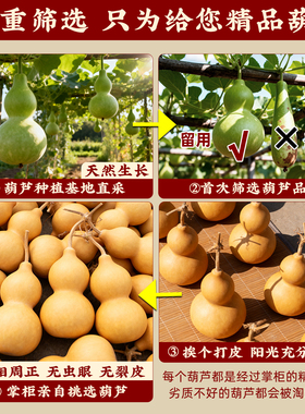 天然葫芦五帝钱挂件门对门车挂