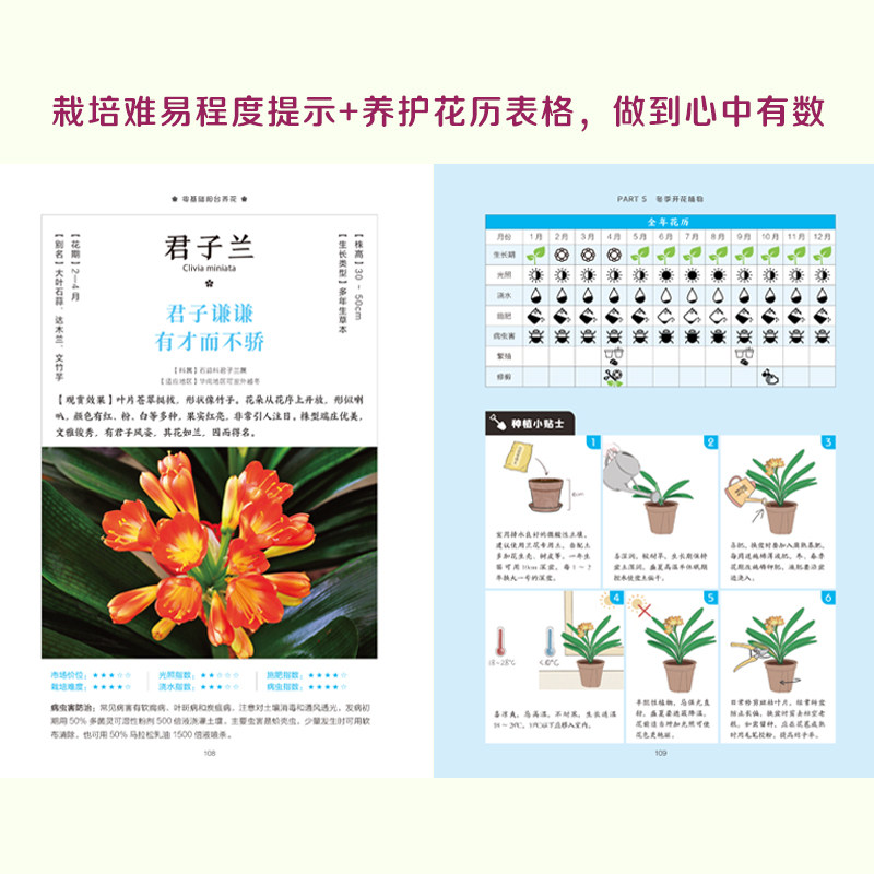 【官方正版】零基础阳台养花 家庭园艺植物养护室内绿植阳台养花花卉家居植物园艺生活养护技巧花语宜忌 全年花历 病虫害防治