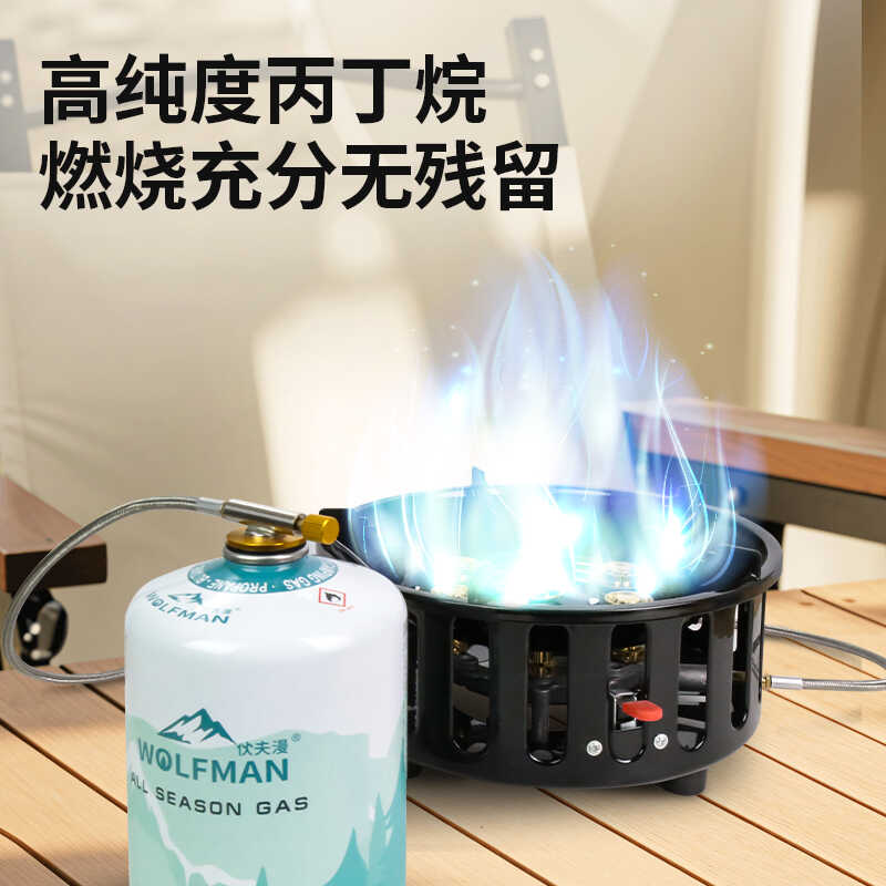 便捷式高山气罐户外扁气罐野营野炊液化燃气罐丙烷丁烷专用登山罐 - 图3