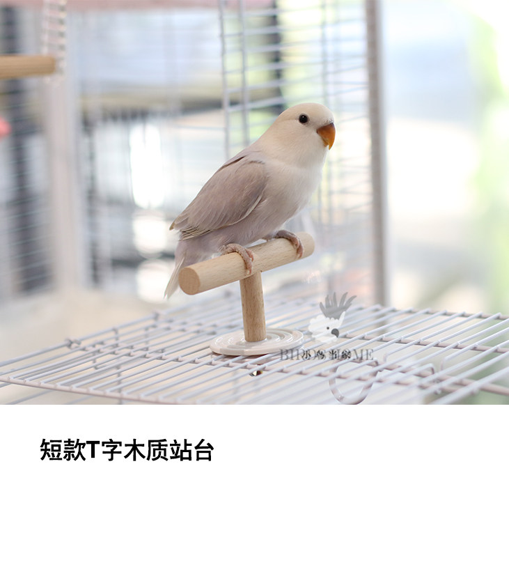 小鸟当家原木天然榉木站棒站杠T字站架 虎皮牡丹玄凤中小型宠物鸟,淘宝优惠券,粉丝福利购,淘宝优惠卷