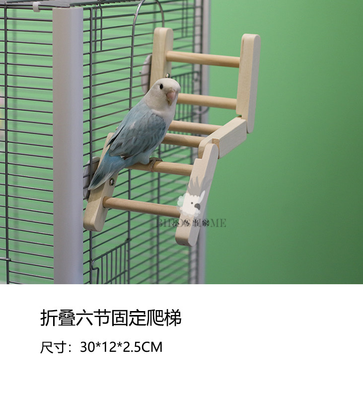 宠物鸟多功能木质爬梯 鹦鹉玩具攀爬站台中小型鸟虎皮牡丹玄凤等,淘宝优惠券,粉丝福利购,淘宝优惠卷
