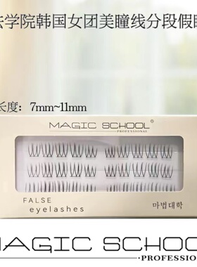 分段女团自然黑梗魔法学院韩国