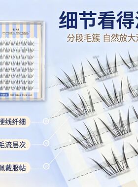 魔法学院韩蕾夏日女团假睫毛分段式单簇仙子毛根根分明仿真自然