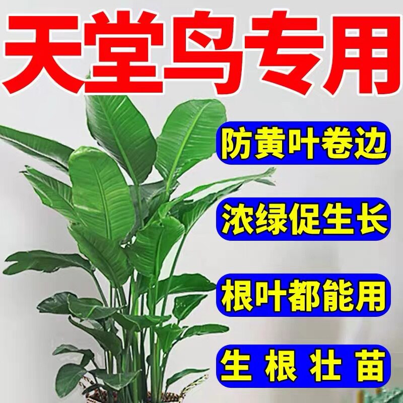 天堂鸟专用营养液黄叶卷边开裂叶子发黄肥料家用室内盆栽植物花肥,淘宝优惠券,粉丝福利购,淘宝优惠卷