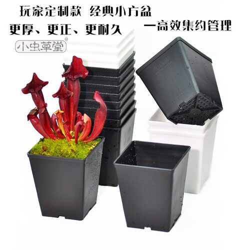 小方盆大小黑方盆塑料加厚方形花盆多肉食虫植物小虫草堂定制盆 - 图0