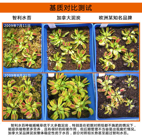 食虫植物专用土小虫草堂种植土营养土壤泥炭土介质水苔捕蝇草无肥 - 图1