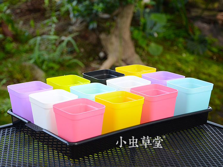 长方形托盘小虫草堂盆托盆垫水盘水碟腰水食品级塑料超强耐老化,淘宝优惠券,粉丝福利购,淘宝优惠卷