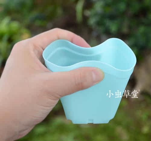小方盆大小黑方盆塑料加厚方形花盆多肉食虫植物小虫草堂定制盆 - 图2