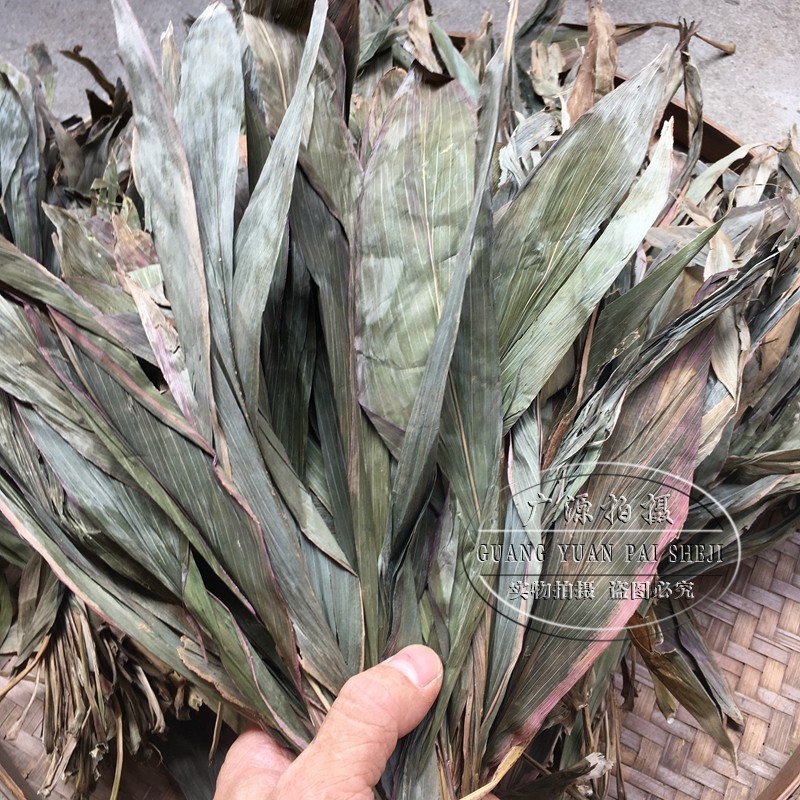 红铁树叶中药材 朱蕉叶 铁树叶 朱竹叶 铁连草 红叶铁树500克干品,淘宝优惠券,粉丝福利购,淘宝优惠卷