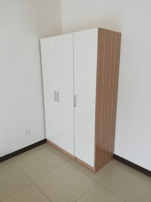 北京包邮二门衣柜/衣橱/大衣柜/三门柜/阳台柜/板式家具特价 - 图0