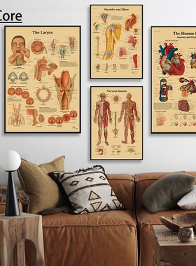 Retro Organ Systems The Human Body Poster Skeleton Anatomy