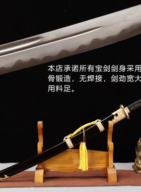 龙泉市丁白缨绣春刀白铜雁翎刀唐横刀剑武术镇宅刀具冷兵器未开刃