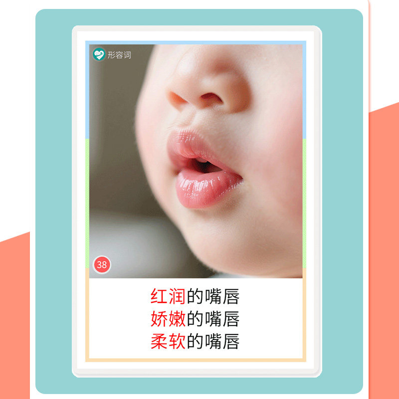名词形容词认知卡片扩句表达能力自闭症儿童语言发育迟缓训练教具