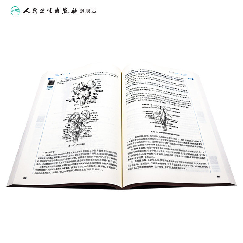 正常人体学(3版)配增值本科中医药类孙红梅包怡敏主编9787117315876人民卫生出版社高等学历本科中医教材