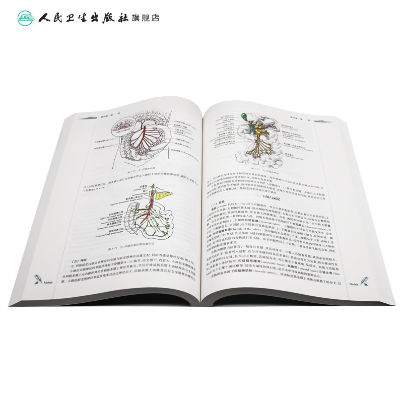 局部解剖学第三版人卫张雅芳张绍祥8八年制及7七年制长学制研究生住院医师十二五规划系统解剖学人民卫生出版社临床西医医学考研-图3