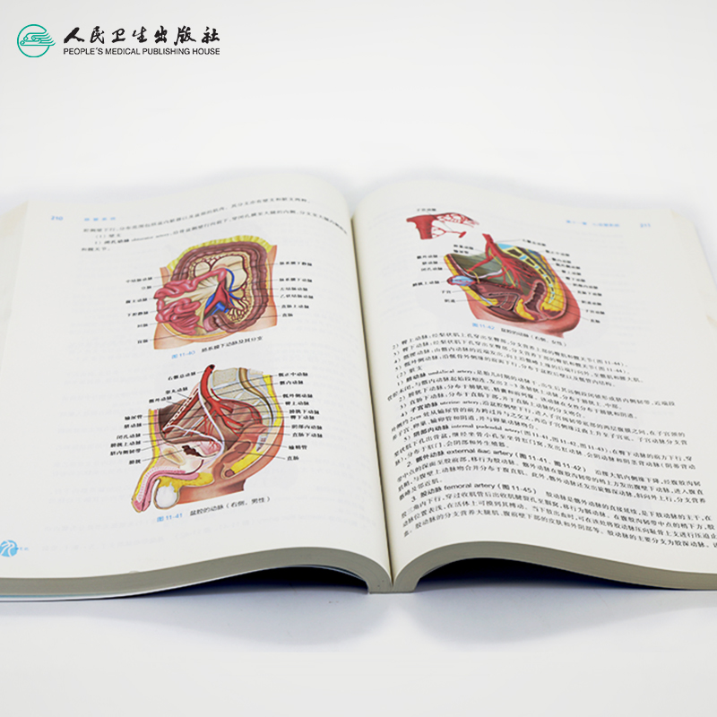 系统解剖学人卫第九版9系解局部人体解刨学内科生理学10最新版基础分析无机有机生物化学与分子细胞出版社本科临床医学书籍教材-图3