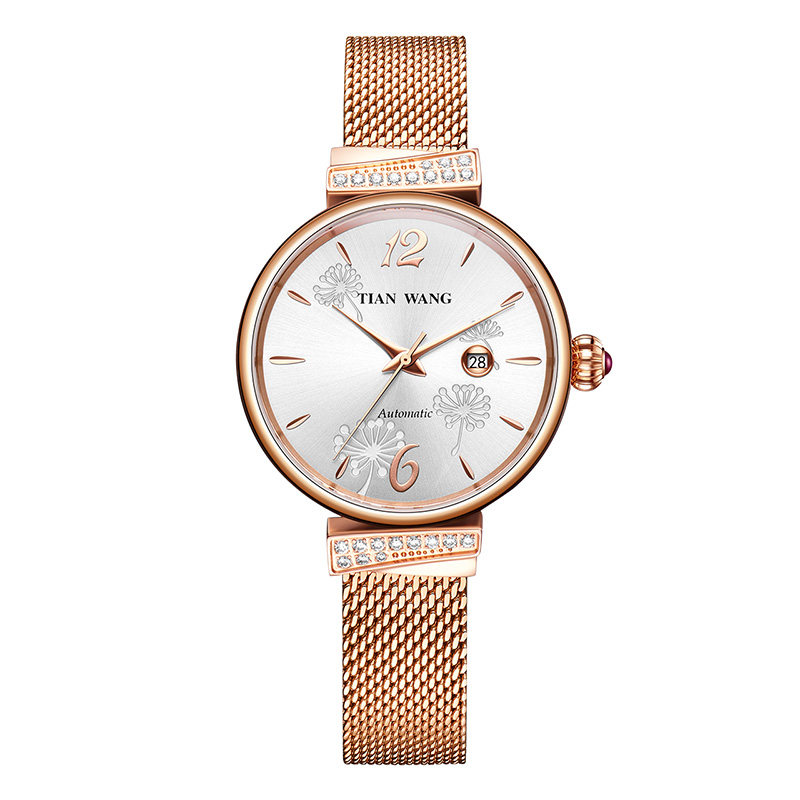 天王自动配礼盒蒲公英礼物机械表 天王国产腕表