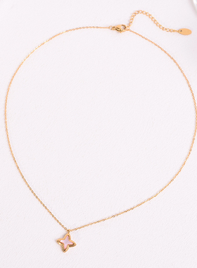 钛钢项链 不掉色！极简高级感新款项链女小众设计感锁骨链百搭配