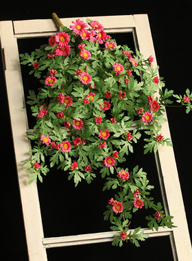 装饰遮挡挂墙绿植仿真雏菊花藤假花藤条壁挂植物吊兰藤蔓绿叶垂吊