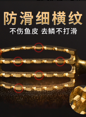 日本进口实木鱼鳞刨刮神器家用杀鱼去除专用刷子日式打鱼鳞刀工具