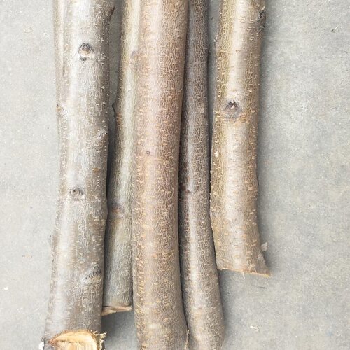 野生东南桃树枝 粗桃木簪子新鲜原木佛珠发簪雕刻料桃木剑diy木料 - 图0