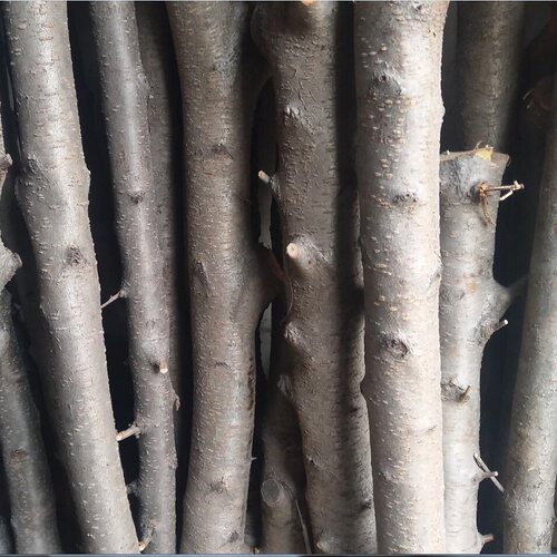 野生东南桃树枝 粗桃木簪子新鲜原木佛珠发簪雕刻料桃木剑diy木料 - 图2