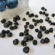 Bulk high quality large dried wild blueberries