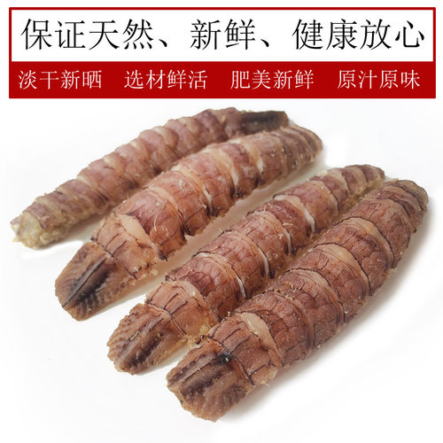 带籽皮皮虾干红膏黄琵琶虾姑虾爬子濑尿虾虎肉富贵虾即食水产干货 - 图0