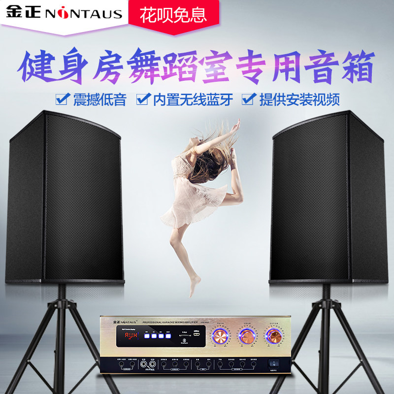 金正k10舞蹈室健身房12寸影院功放 晓桐数码KTV/卡拉OK音箱