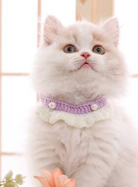 公主风甜美猫咪珍珠项圈柔软项圈宠物装饰品蝴蝶结小猫围巾项圈