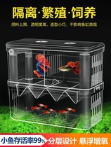 Fish tank detachable acrylic isolation box Tropical fish peacock fish breeding box size Number of spawning room hatching box