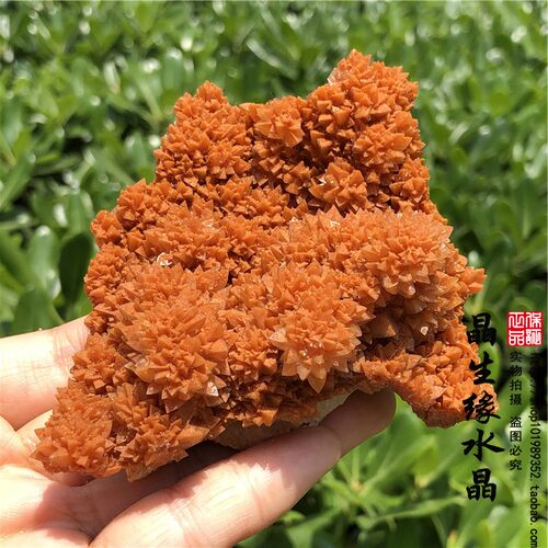 天然结晶石原矿方解石矿物晶体观赏奇石实物图多款可选 - 图0