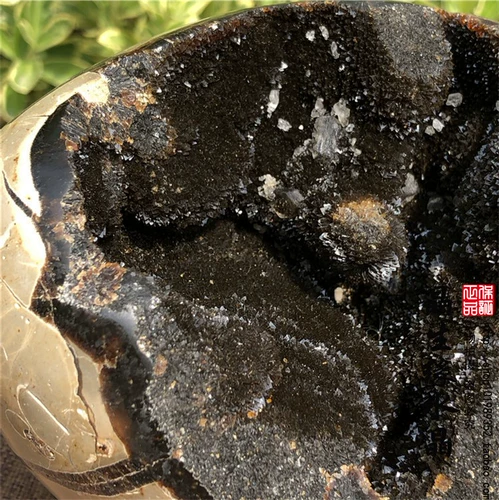 Природная черепаха задний камень, крэкстоун, долголетие, схема долговечности черепахи, удача, духовный камень Странный камень