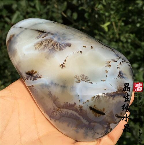 天然马达加斯加海洋玉髓水草玛瑙原石把玩石收藏奇石实物图 - 图1