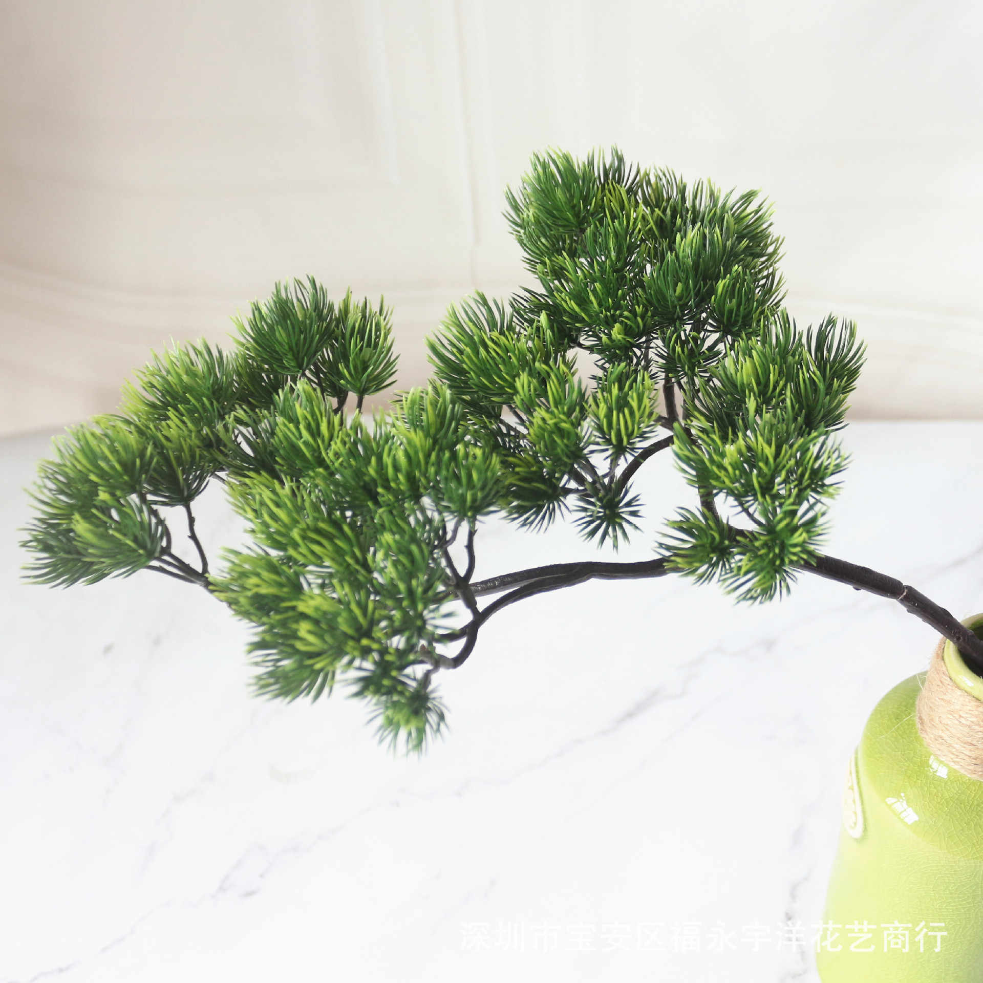 松柏枝 新人首单立减十元 22年3月 淘宝海外