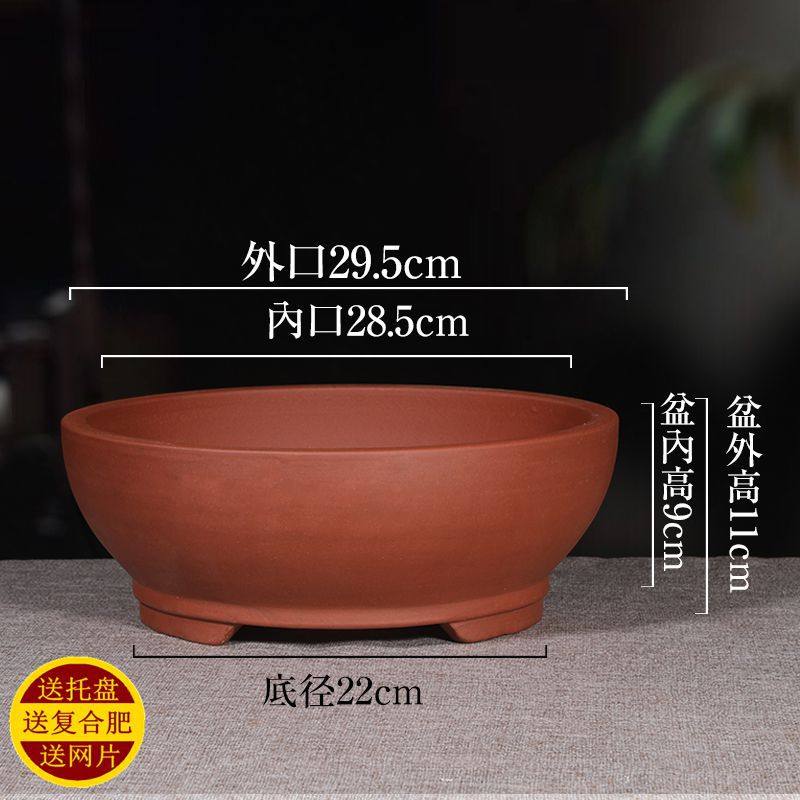 宜兴紫砂花盆大口径创意专用植物简约客厅桌面绿植盆景盆多肉文竹,淘宝优惠券,粉丝福利购,淘宝优惠卷