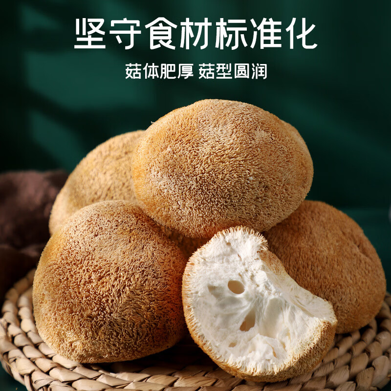 东北长白山猴头菇野生新鲜干货官方旗舰店养胃粉菌菇煲汤食材500g - 图0