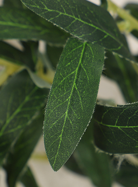 仿真树枝果实绿色永生花植物叶子