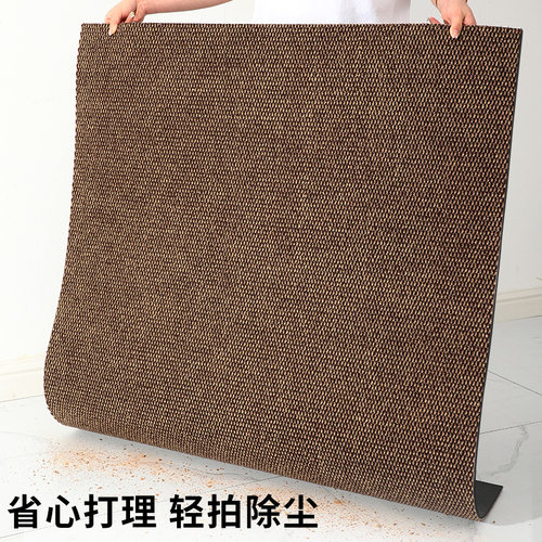 进入户门地垫家用门垫大门口地毯防滑除尘耐脏脚垫可裁剪定制尺寸 - 图3