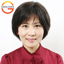 Summer full handloom Real Hair Middle-aged elderly wig emulated scalp female short hair straight hair Mama wig sleeve