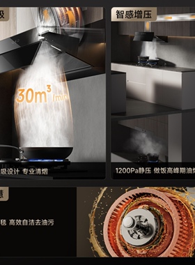 追觅跨界欧式大吸力自清洗油烟机