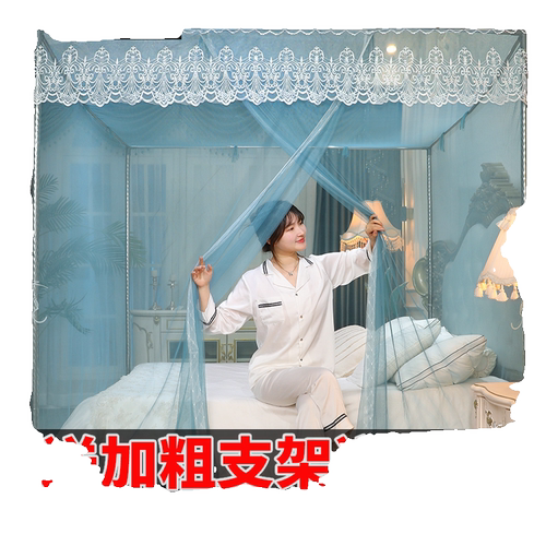 蚊帐家用卧室单门加密落地公主风1.5米床1.8m1.2m单人双人出租房 - 图3