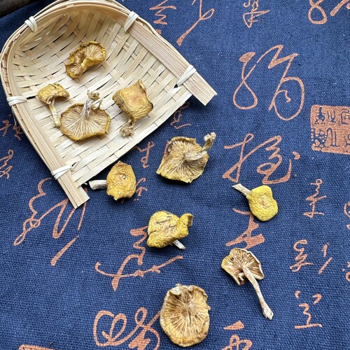 小黄蘑东北野生小黄蘑500g松树油蘑野生蘑菇干货小鸡炖蘑菇 - 图1