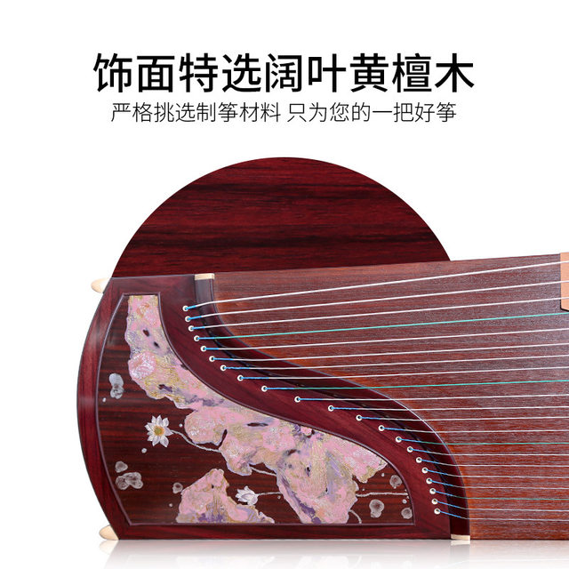 Dunhuang guzheng 698PQ-YZ flowering pinellia ແລະ gleaming ຍີ່ຫໍ້ Dunhuang ໄມ້ກຸຫຼາບໃບກ້ວາງຫຼິ້ນເຄື່ອງດົນຕີ guzheng