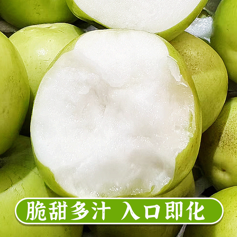 正宗苹果枣大青枣牛奶枣新鲜孕妇水果脆甜贵妃枣整箱包邮,淘宝优惠券,粉丝福利购,淘宝优惠卷